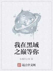 我在黑域之巅等你 我在黑域之巅等你
