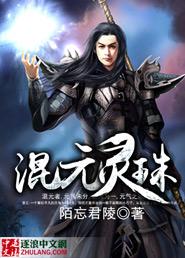 混元灵珠 混元灵珠