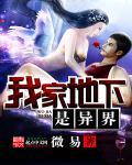 我家地下是异界 我家地下是异界