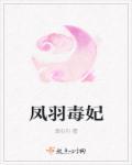 凤羽毒妃 凤羽毒妃