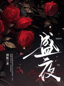 盛夜 盛夜