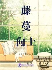 藤蔓向上 藤蔓向上