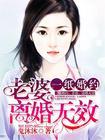 一纸婚约:老婆,离婚无效 一纸婚约:老婆,离婚无效