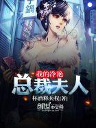 我的冷艳总裁夫人 我的冷艳总裁夫人
