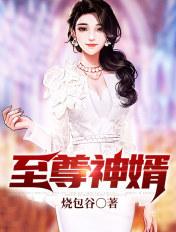 至尊神婿 至尊神婿