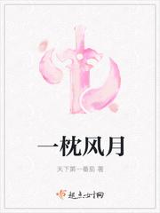 一枕风月 一枕风月
