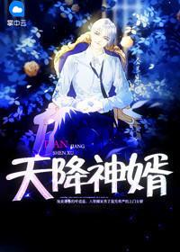 天降神婿 天降神婿